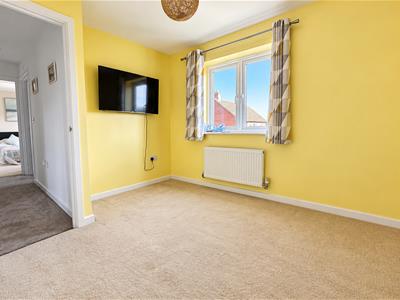 Picture 20